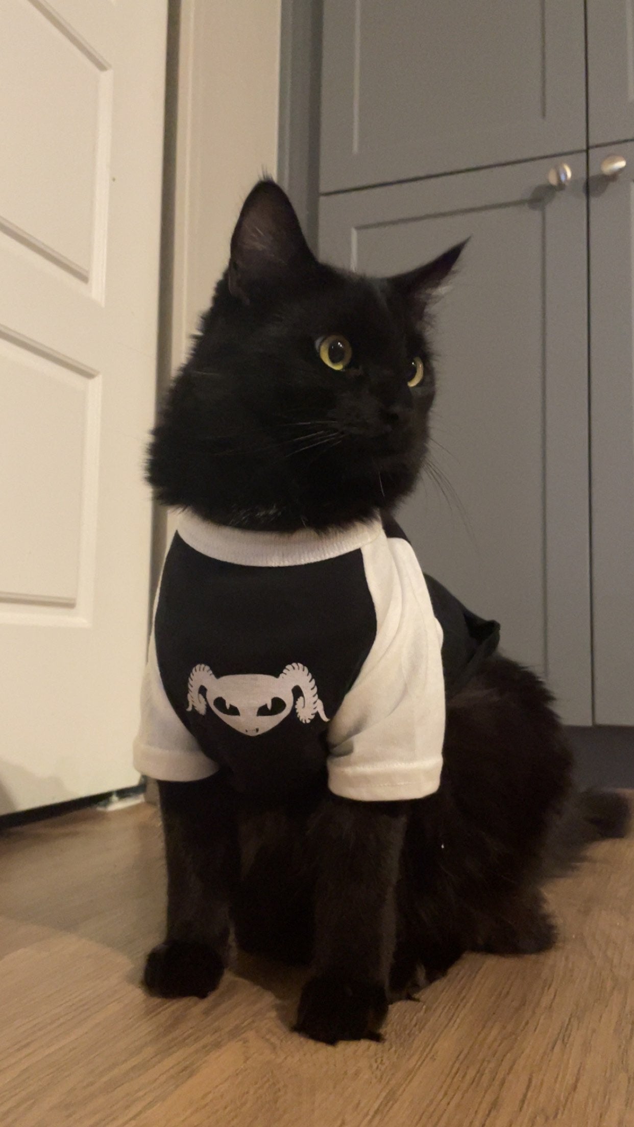 Pet Baseball Tee