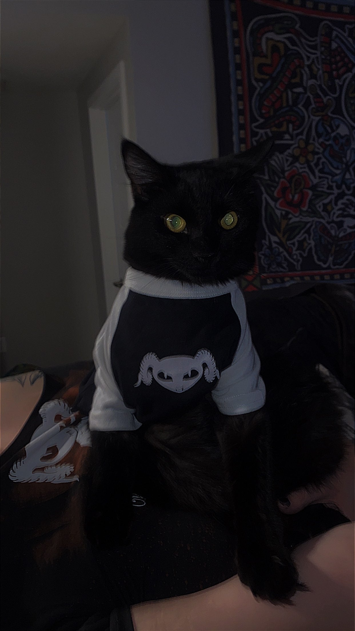 Pet Baseball Tee