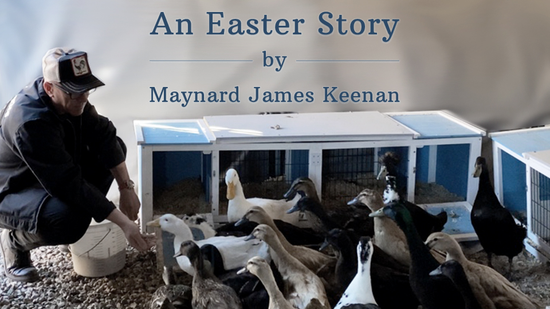 MJK An Easter Story