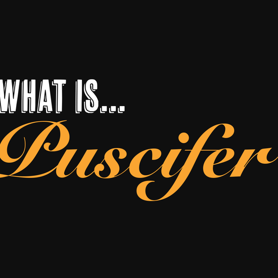 Puscifer What Is